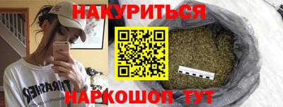 стаф Бердск