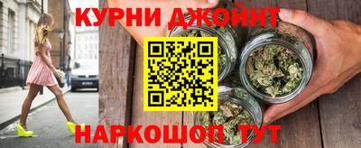 стаф Бердск