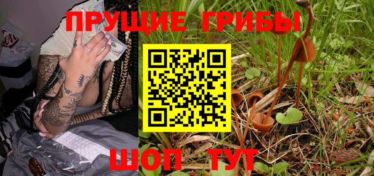 Волгоград  Галлюциногенные грибы GOLDEN TEACHER  Вход с VPN  Псилоцибиновые грибы Psilocybe 